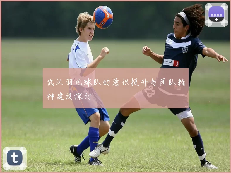 武汉羽毛球队的意识提升与团队精神建设探讨