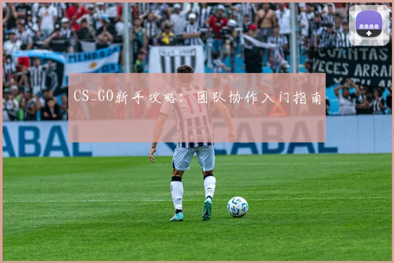 CS_GO新手攻略：团队协作入门指南