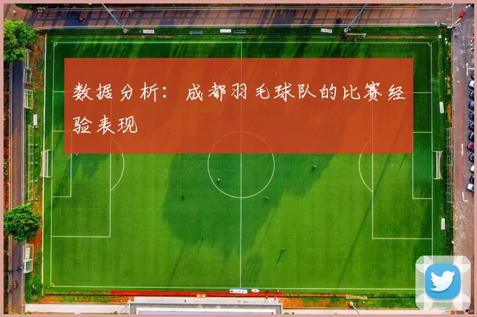 数据分析：成都羽毛球队的比赛经验表现