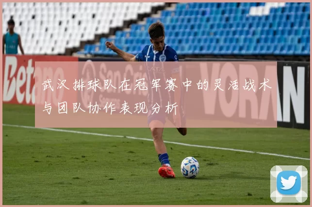 武汉排球队在冠军赛中的灵活战术与团队协作表现分析