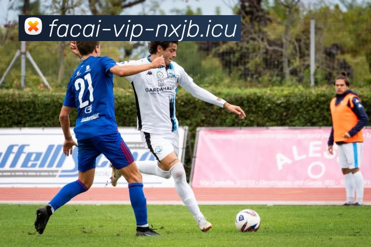 MK体育品牌故事