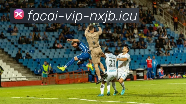 MK体育服务体系